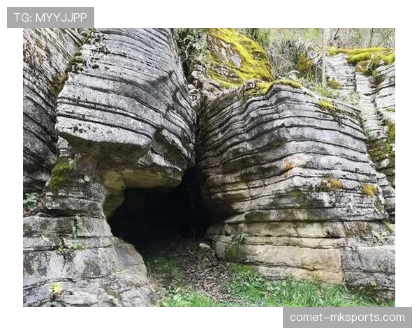 目前尚未查询到符合“孔熙容”个人信息的公开世界排名记录。建议您核实该名称的准确性或提供更多相关信息。