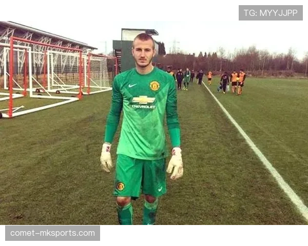 萨维奇球队贡献 萨维奇球队贡献